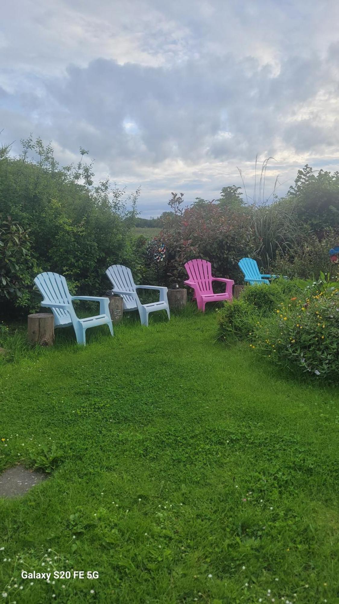 Salmon Island View Appartement Dromineer Buitenkant foto